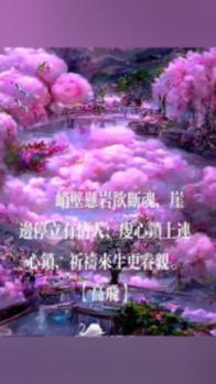 透过十六强 中国足球能看到什么